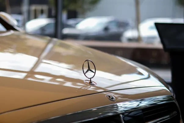 BetCave Casino Application Android/iOS